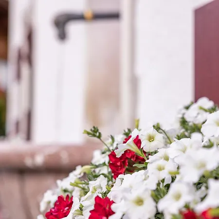 Ansitz Felsenheim アパートホテル