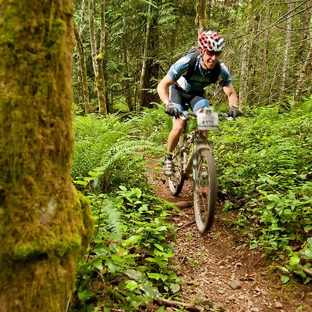 Ansitz Felsenheim アパートホテル レルモース